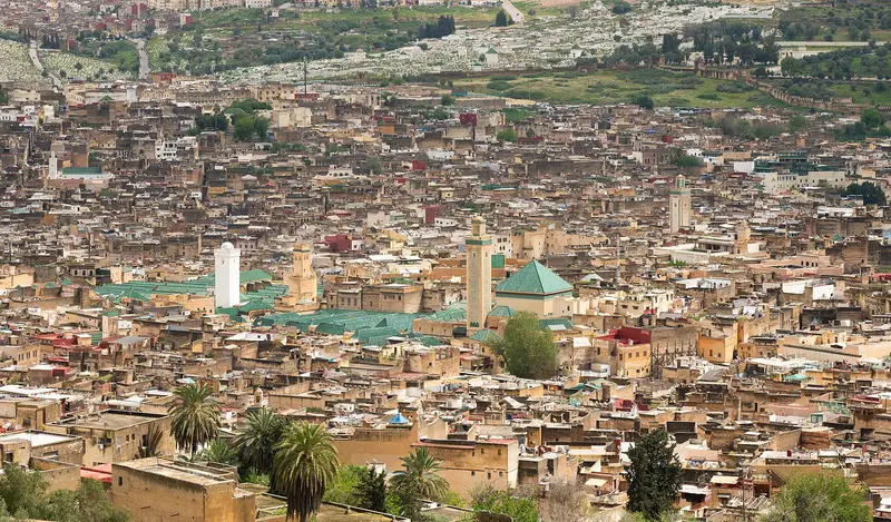 Panoramic view over the rooftops of the Fes el-Bali medina