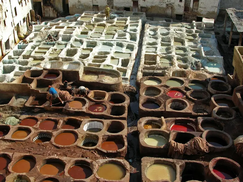 Dye pits of the traditional leather tannery in Fes